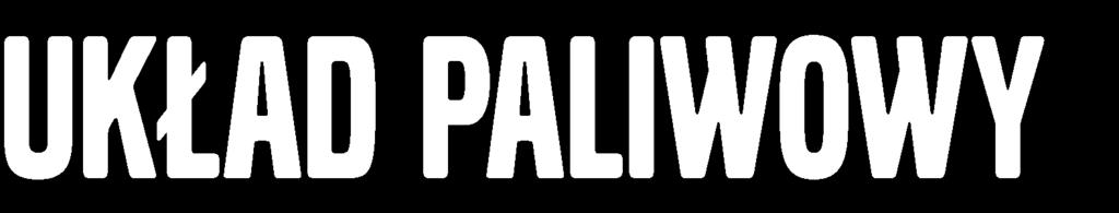 Zadbaj o układ paliwowy