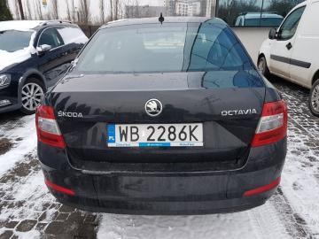 Tył Fot.