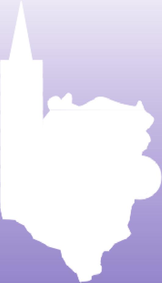 REGIONALNA IZBA OBRACHUNKOWA W OPOLU RAPORT Regionalnej Izby Obrachunkowej w Opolu za 2010 r.