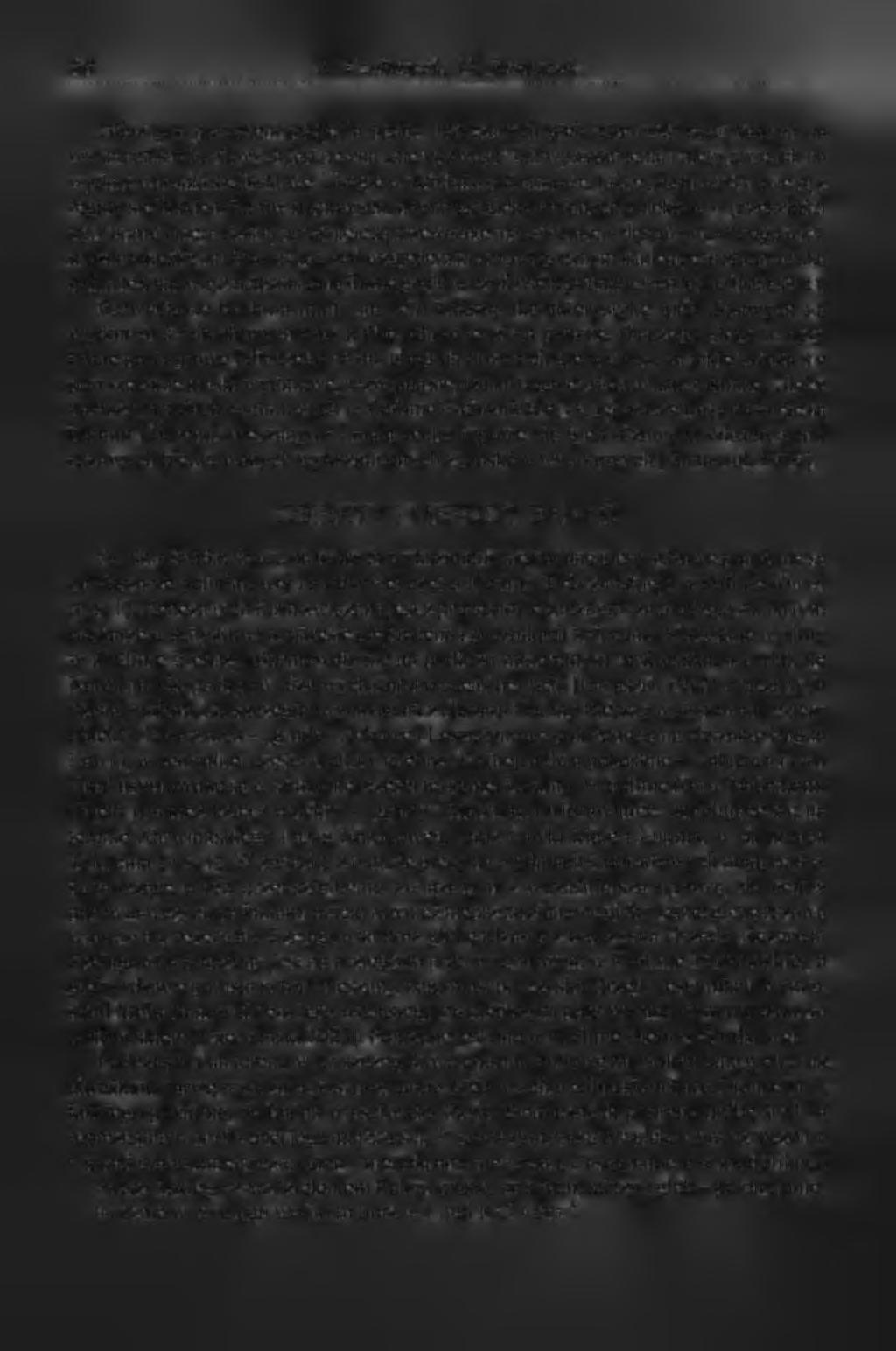 88 R. Czubaszek, H.