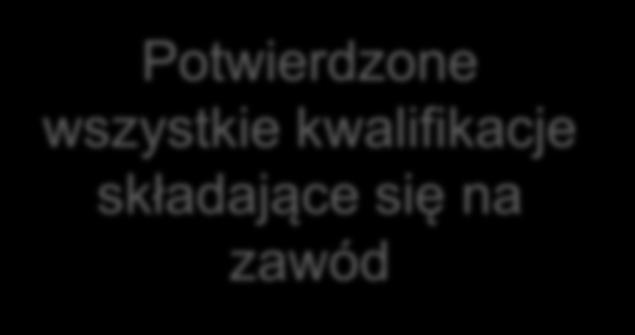 Wykształcenie