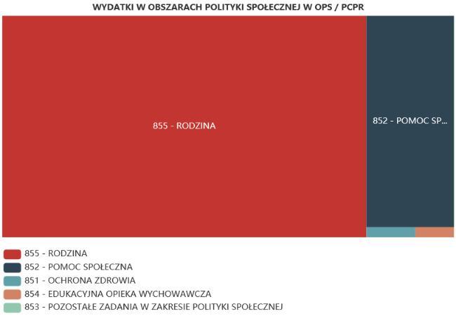 ŚRODKI FINANSOWE NA WYDATKI W POMOCY SPOŁECZNEJ I INNYCH OBSZARACH POLITYKI SPOŁECZNEJ W BUDŻECIE JEDNOSTKI SAMORZĄDU TERYTORIALNEGO (zadania własne i zadania zlecone) W złotych WYSZCZEGÓLNIENIE 217