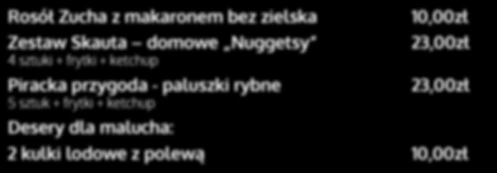 DZIECIĘCA KRAINA Rosół Zucha z makaronem bez zielska Zestaw Skauta domowe Nuggetsy 4 sztuki + frytki +