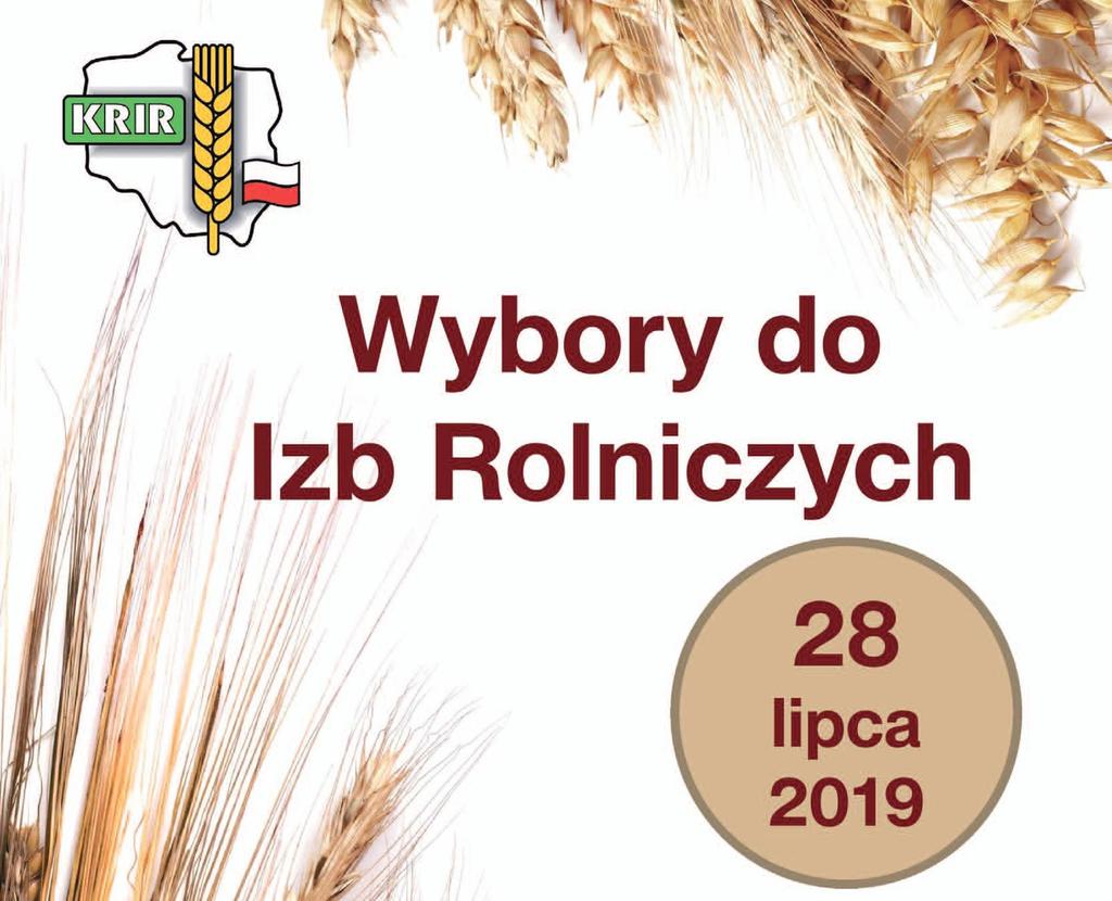 W demokracji najważniejszym weryfikatorem są wybory. Można mieć najlepsze pomysły, ale bez wsparcia zainteresowanych trudno je realizować.