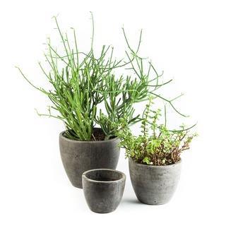 wykorzystania surowców odpadowych i