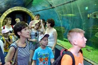 W tym miejscu warto dodać, że nasi rolnicy odnoszą sukcesy w hodowli oraz produkcji tradycyjnych wyrobów. Są doceniani na rynku regionalnym i w Małopolsce.