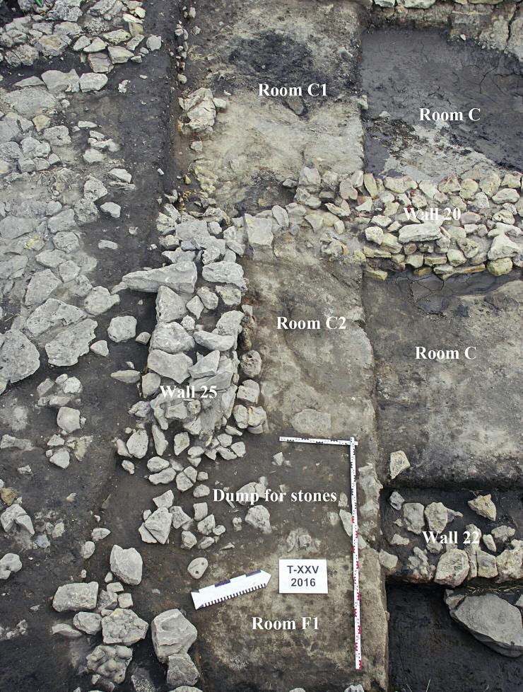 TANAIS, RUSSIA. EXCAvATIONS IN THE 2016 SEASON fig. 7. Clay floor in Room C2, dumping area for the stones from Wall 22 and clay floor from Room f1 (photo by M. Matera). Ryc. 7. Polepa w pomieszczeniu C2, wkop po kamienie z muru 22 i gliniana podłoga pomieszczenia f1 (fot.