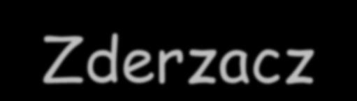 km obwodu Uruchomiony we wrześniu
