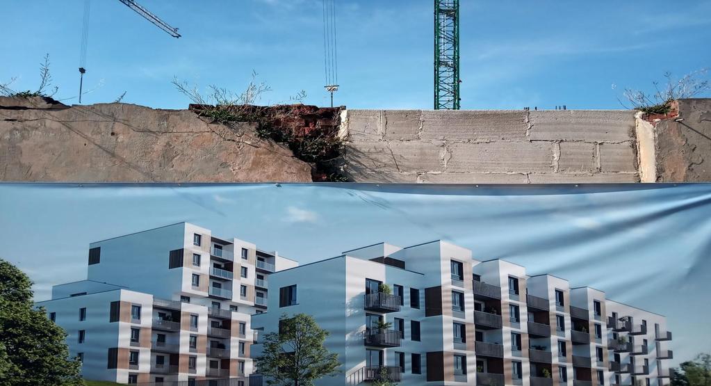 SIERPIEŃ PODAŻ I CENY OFERTOWE NA RYNKU