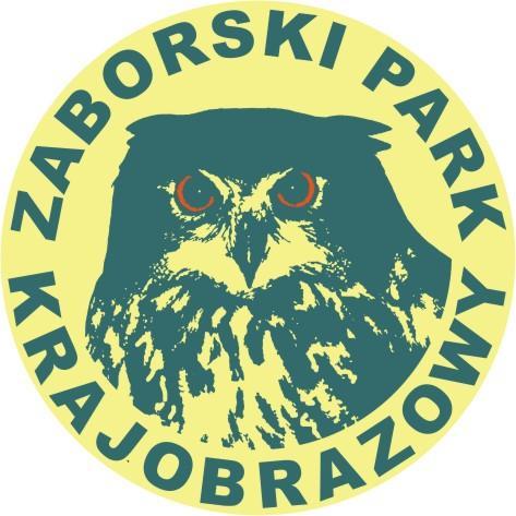 Analiza zagrożeń, w tym identyfikacja miejsc, w których występuje zagrożenie dla bezpieczeństwa osób wykorzystujących obszar wodny do pływania, kąpania się, uprawiania sportu lub rekreacji na terenie