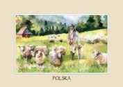 łowicka 05 - baca na