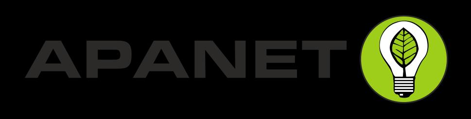 RAPORT KWARTALNY APANET S.A. IV