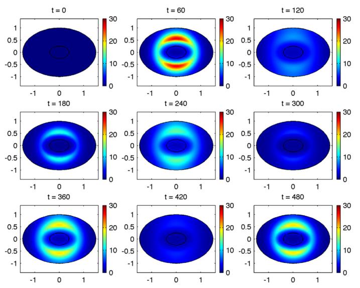 Model z dyfuzja wyniki numeryczne: stężenie Hes1 M. Sturrock i in., J. Theor. Biol., 273, 15 31, (2011) M.