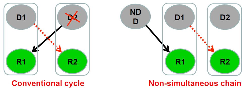 Przeszczepy łańcuchowe NEAD NEAD (Non simultaneous