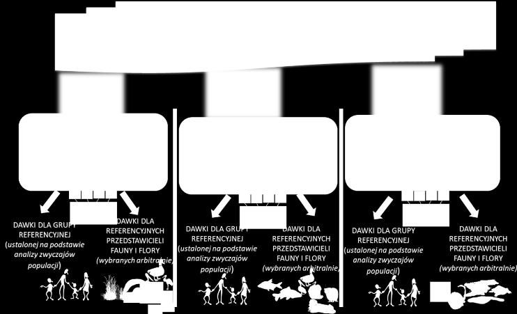 Rysunek 1. Diagram obrazujący ideę zintegrowanej oceny dawek przy rutynowych uwolnieniach z obiektów jądrowych dla tzw. grupy referencyjnej populacji oraz referencyjnych gatunków fauny i flory.