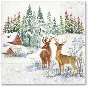 NATURAL XMAS FRAME CONES