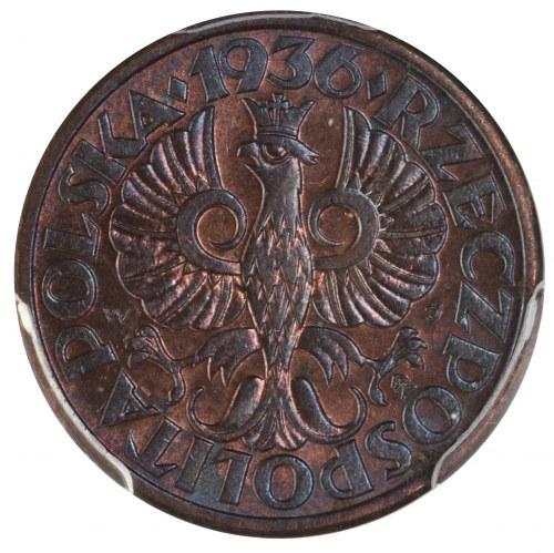1 grosz 1936 PCGS MS64 RB Menniczy egzemplarz z