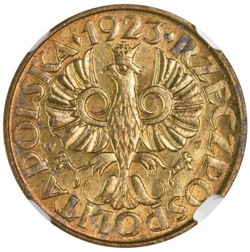 Parchimowicz 102a Stan zachowania: