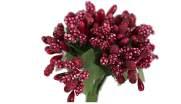 WRZOSOWY 087C 082 -