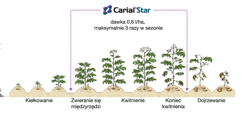 https://www. difenokonazol zwalcza obydwa patotypy alternarii (A.alternata oraz A.