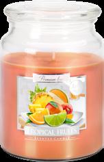 CYNAMON CINNAMON