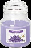 LAVENDER snd71-83 ZIELONA HERBATA GREEN TEA