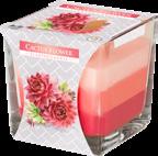 snk80-202 CIASTECZKO WANILIOWE VANILLA CUPCAKE snk80-254 OGRÓD SPA