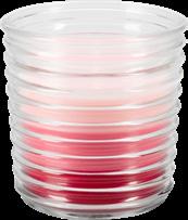 Candles in ribbed glass in six fragrance options.
