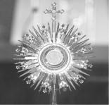 From the Pastor s Desk Dear Brothers and Sisters in Christ! With great joy and gratitude I inform you that the profit from our Parish Carnival 2019 was $66,426.00.