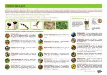 Dzięcioł zielony (Picus viridis), Kruk (Corvus corax), Sikora /bogatka/ (Parus major), Modraszka (Parus caeruleus), Pleszka (Phoenicurus phoenicurus), Czyż (Carduelis spinus), Ortolan (Emberiza