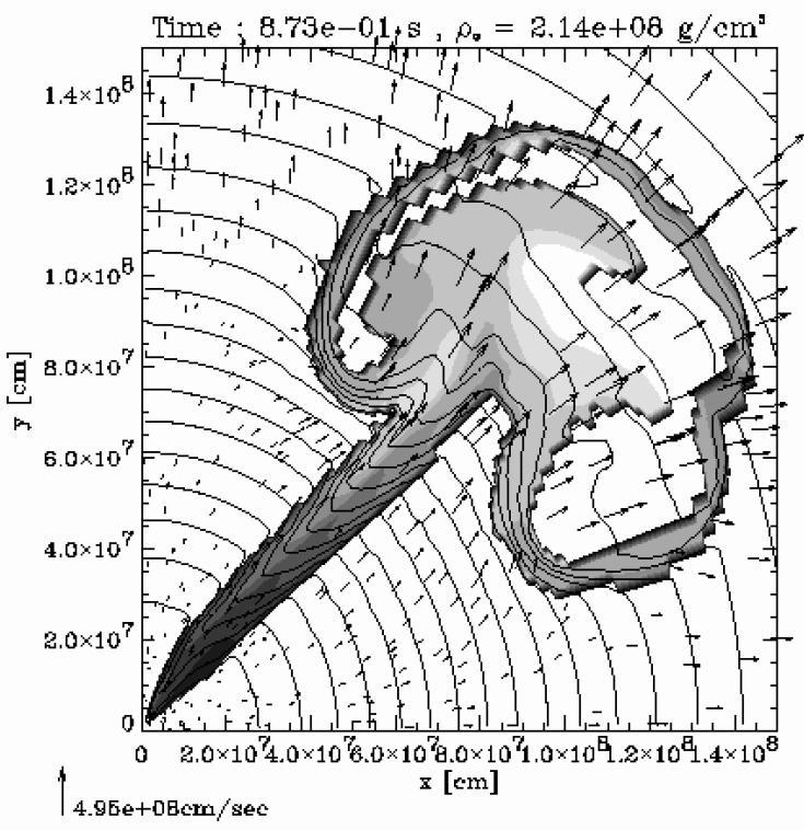 19 z 37