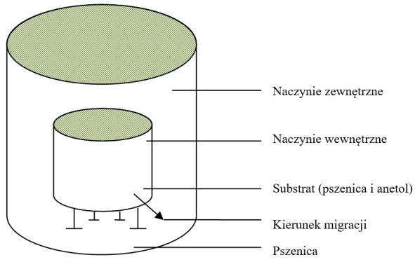 Pojemnik wewnętrzny posiadał 30 otworów o średnicy 1,5 mm. Znajdowały się one co 1,5 cm na jego dnie i po bokach (do wysokości ziarna).