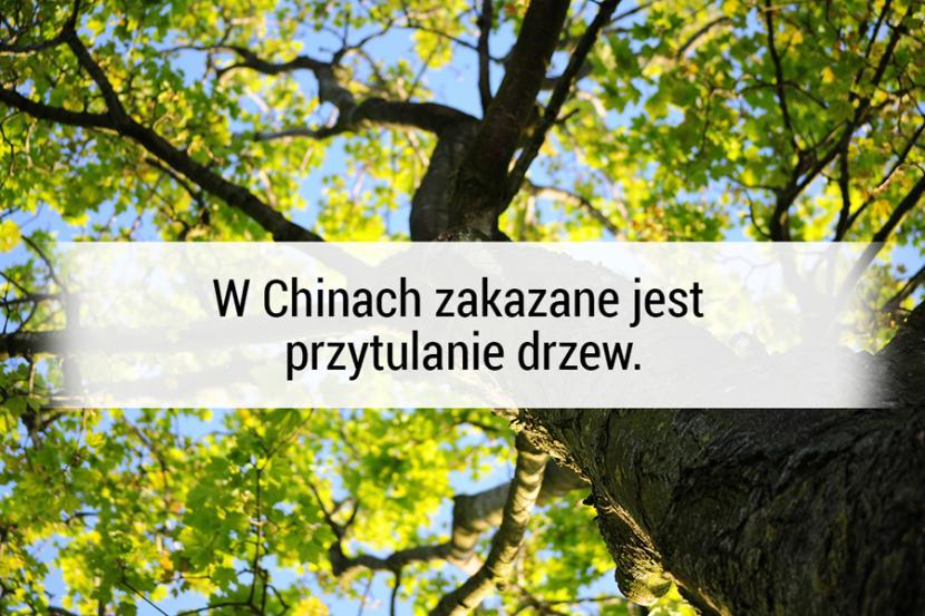 Głos Dziennik