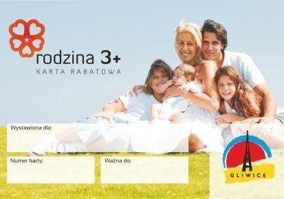 Załącznik Nr 1 do
