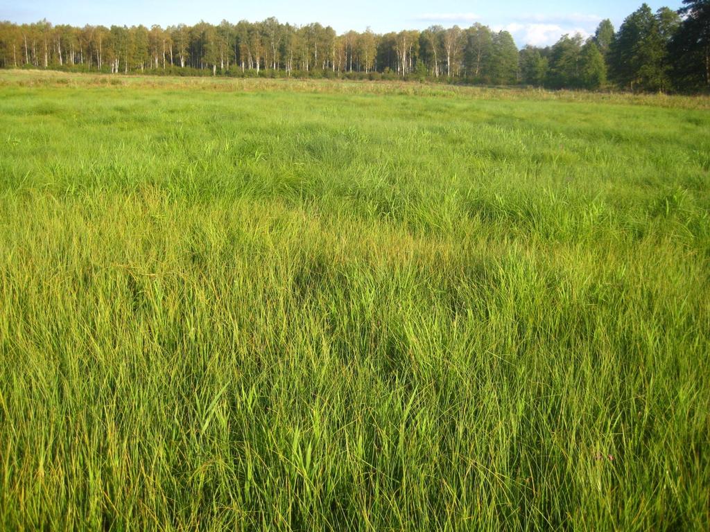 Pozostałe