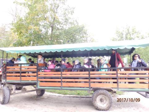 Po tej pasjonującej lekcji historii, udaliśmy się na postój wozu westernowego, który miał nas zawieźć do krainy bizonów.