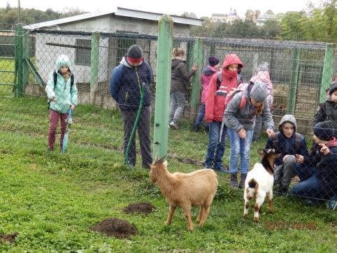 Pełni wrażeń opuściliśmy nasz powóz, aby odwiedzić sympatyczne zwierzątka w mini