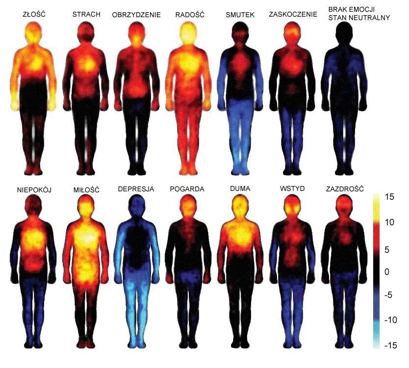 INTELIGENCJA OGÓLNA A INTELIGENCJA EMOCJONALNA Iloraz inteligencji jest obrazem naszej inteligencji ogólnej (czyli głównie zdolności matematycznych i językowych).