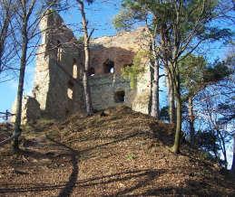 Biecz, Muzeum Ziemi Bieckiej, Dom z basztą www.muzeum.biecz.pl Święto Kosmy i Damiana od starożytnych rhizotomów po współczesnych farmakognostów.