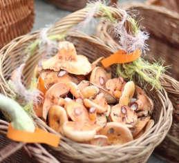Muzyk oraz Skrawek Nieba agroturystyka zapraszają na wydarzenie. Święto Rydza 28-29.09.2019. godz. Wysowa Zdrój, Stary Dom Zdrojowy www.swietorydza.