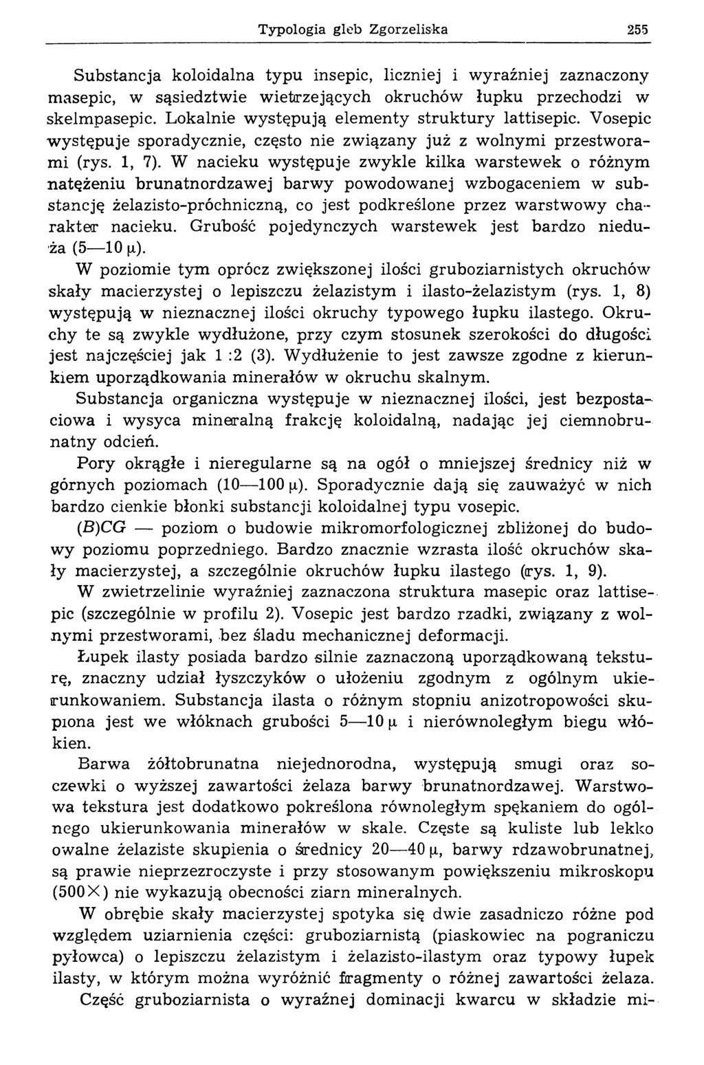 Typologia gleb Zgorzeliska 255 Substancja koloidalna typu insepic, liczniej i w yraźniej zaznaczony masepic, w sąsiedztw ie w ietrzejących okruchów łupku przechodzi w skelmpasepic.