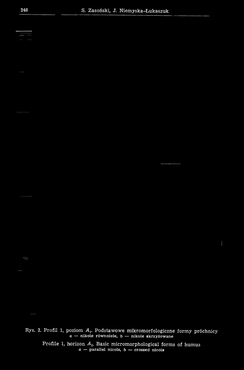 rofile 1, horizon A lt Basic m icrom