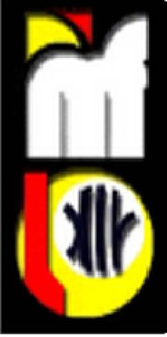 Liceum Ogólnokształcące nr XIV im. Polonii Belgijskiej al.