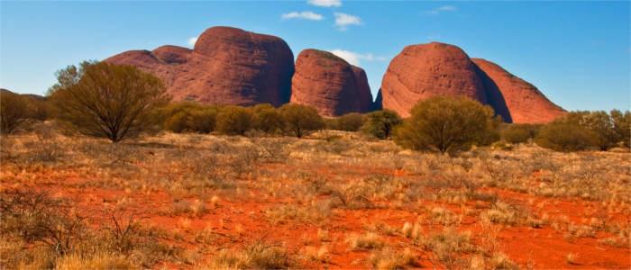 Najbardziej znanymi miejscowościami w tym rejonie są Alice Springs, Cooper Pedy i Darwin. Latem temperatury osiągają tu nawet 50 stopni Celsjusza.