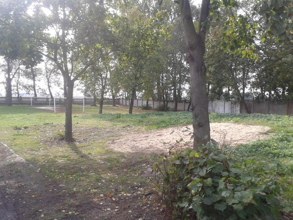 Zdjęcie 2.