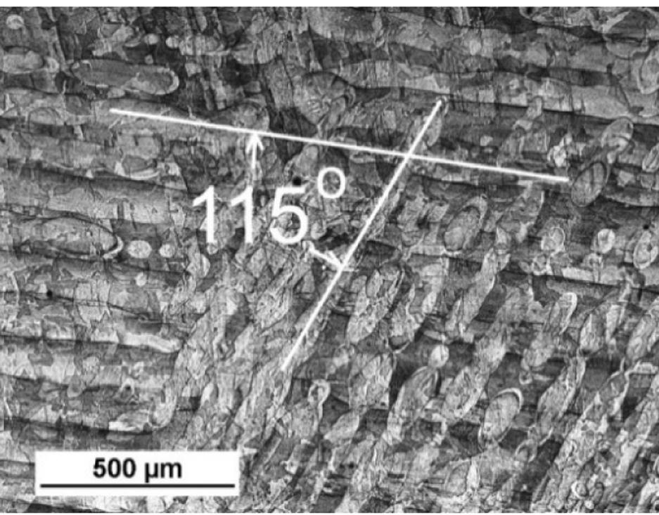 software NIS-Elements 4.10. The porosities of the specimens were evaluated on samples prior to etching.