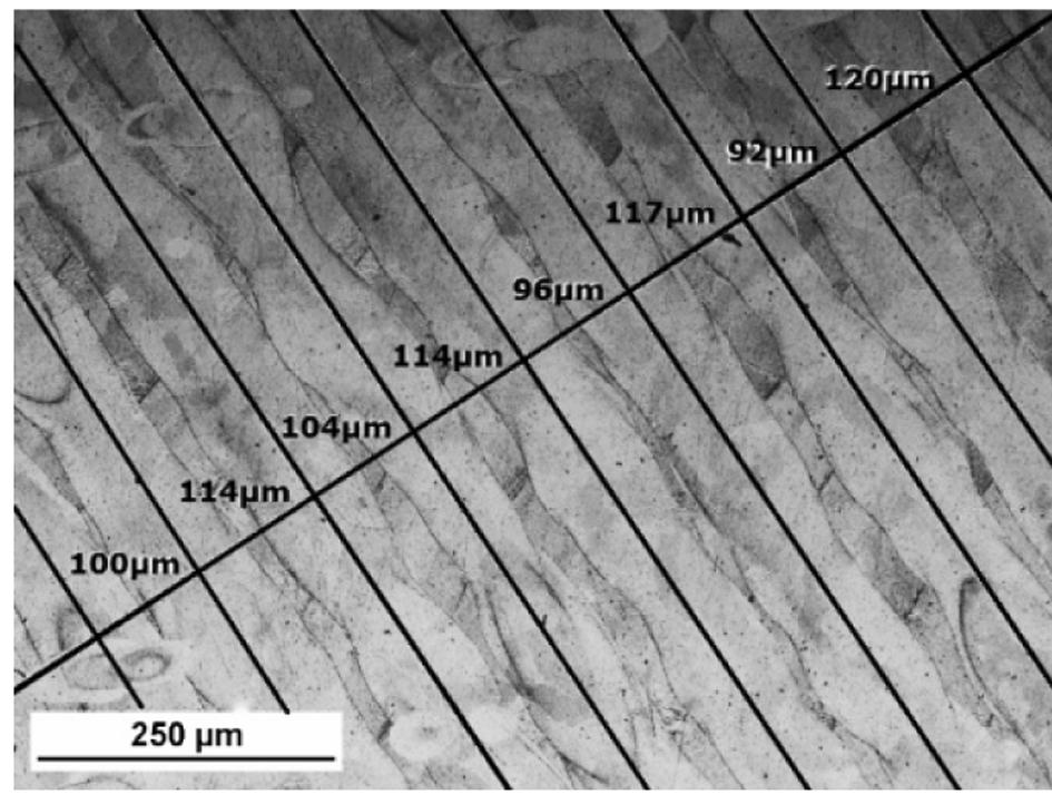 to 10. Fig. 7. The pores in the structure of steel 316L before etching Fig. 8.
