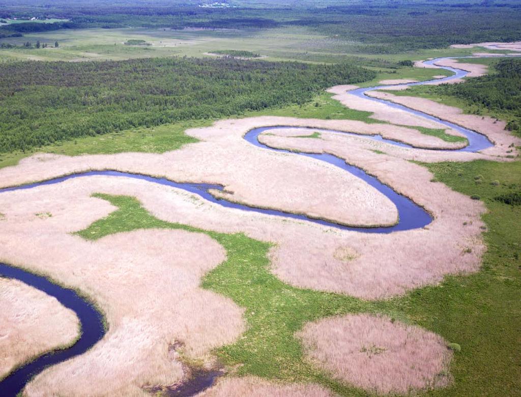 Cele projektu ML Cel ogólny: Przywrócić i utrzymać mozaikę przestrzenną ekosystemów naturalnych i półnaturalnych, warunkujących wysoką różnorodność biologiczną w krajobrazie Górnej Biebrzy.