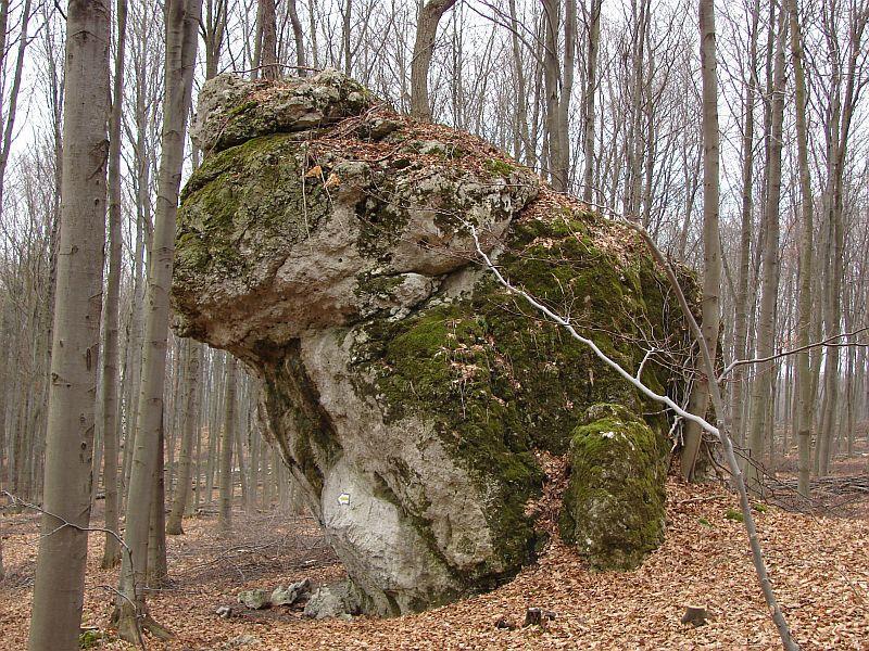 ZARZĄD ODDZIAŁU W