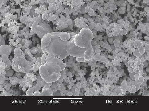 J. LASZKIEWICZ- UKASIK, P. PUTYRA, L. JAWORSKA, M. PODSIAD O R ys. 2. Obraz SEM proszku metalicznego tantalu. Fig. 2. SEM image of tantalum powder. Ry s. 3. Obraz SEM proszku amor cznego boru. Fig. 3. SEM image of amorphous boron powder.